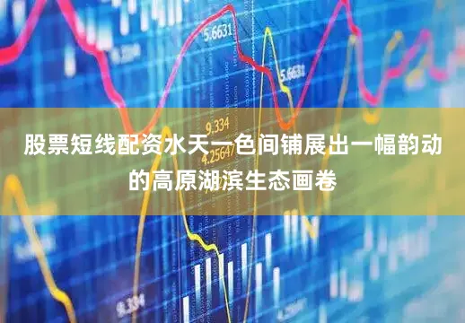 股票短线配资水天一色间铺展出一幅韵动的高原湖滨生态画卷