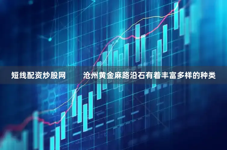 短线配资炒股网        沧州黄金麻路沿石有着丰富多样的种类